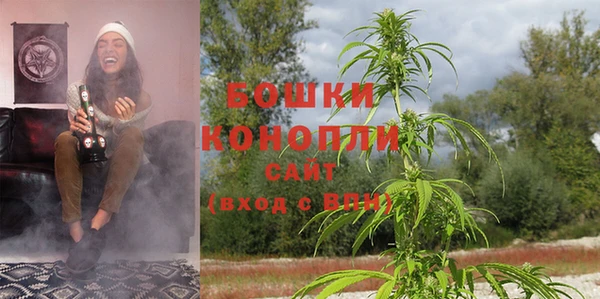 дурь Арсеньев