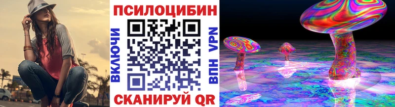 мега как войти  где найти наркотики  Сясьстрой  Галлюциногенные грибы Magic Shrooms 