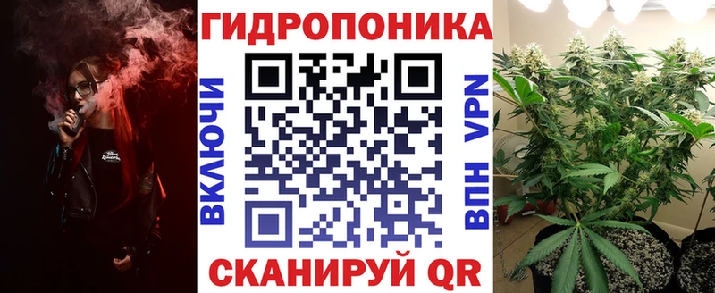МАРИХУАНА план  Сясьстрой 